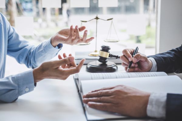 Family and Criminal Law Insights